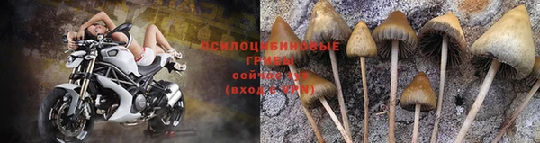 прущие крисы Магас