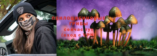 прущие крисы Магас