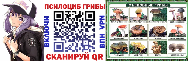 Псилоцибиновые грибы MAGIC MUSHROOMS  Купить где  Задонск 